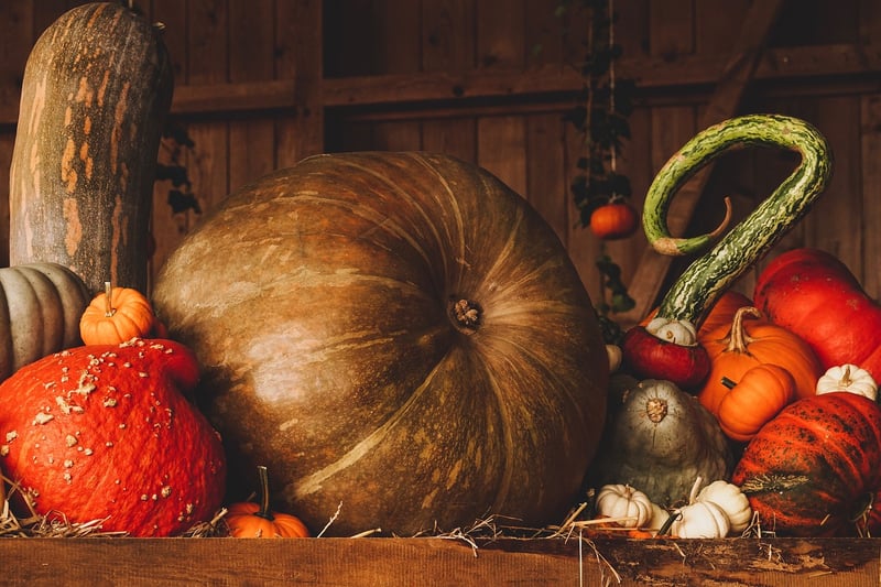 Enchanted Harvest
