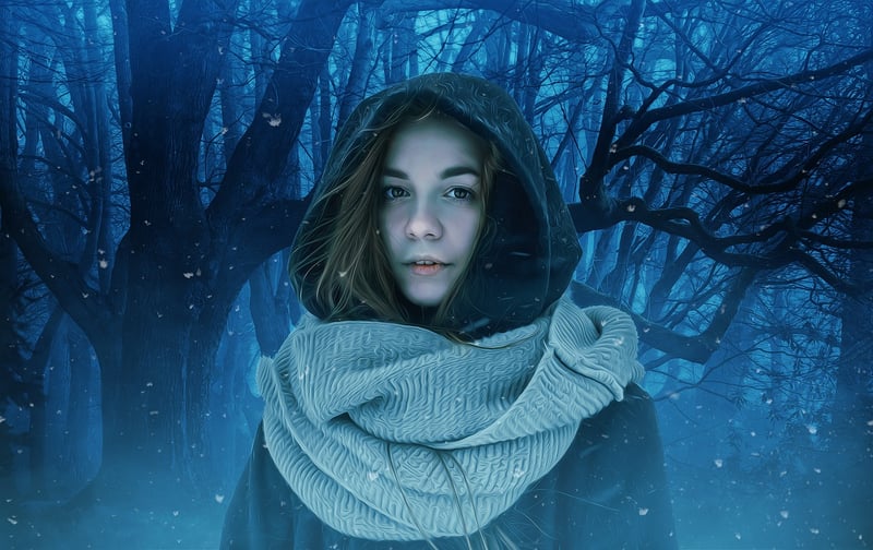 Magical Forest