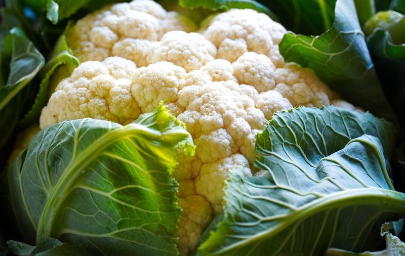 Purple Cauliflower