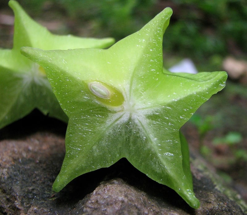 Starfruit